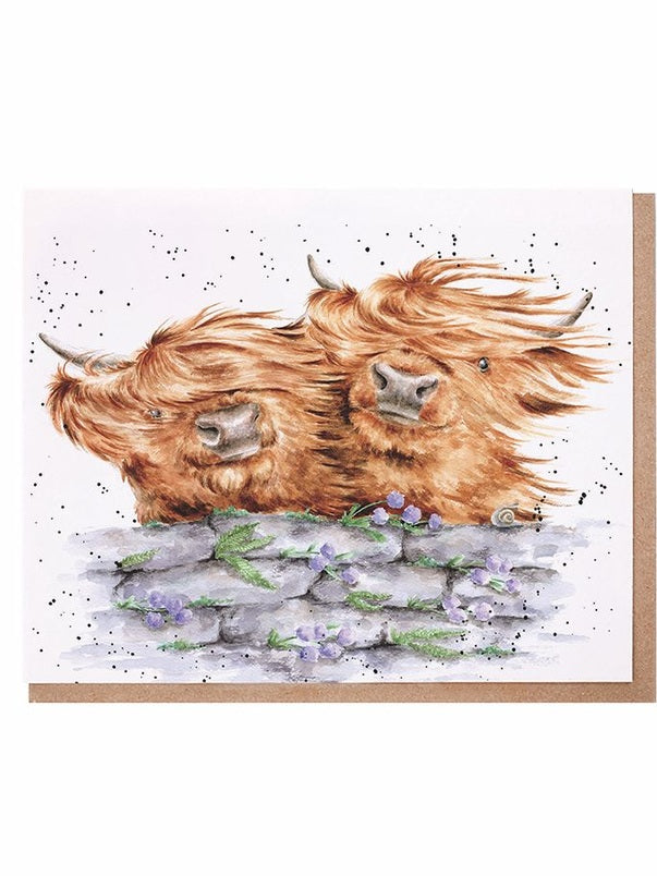 Card - ACS198 Blown Away - Highland Cows