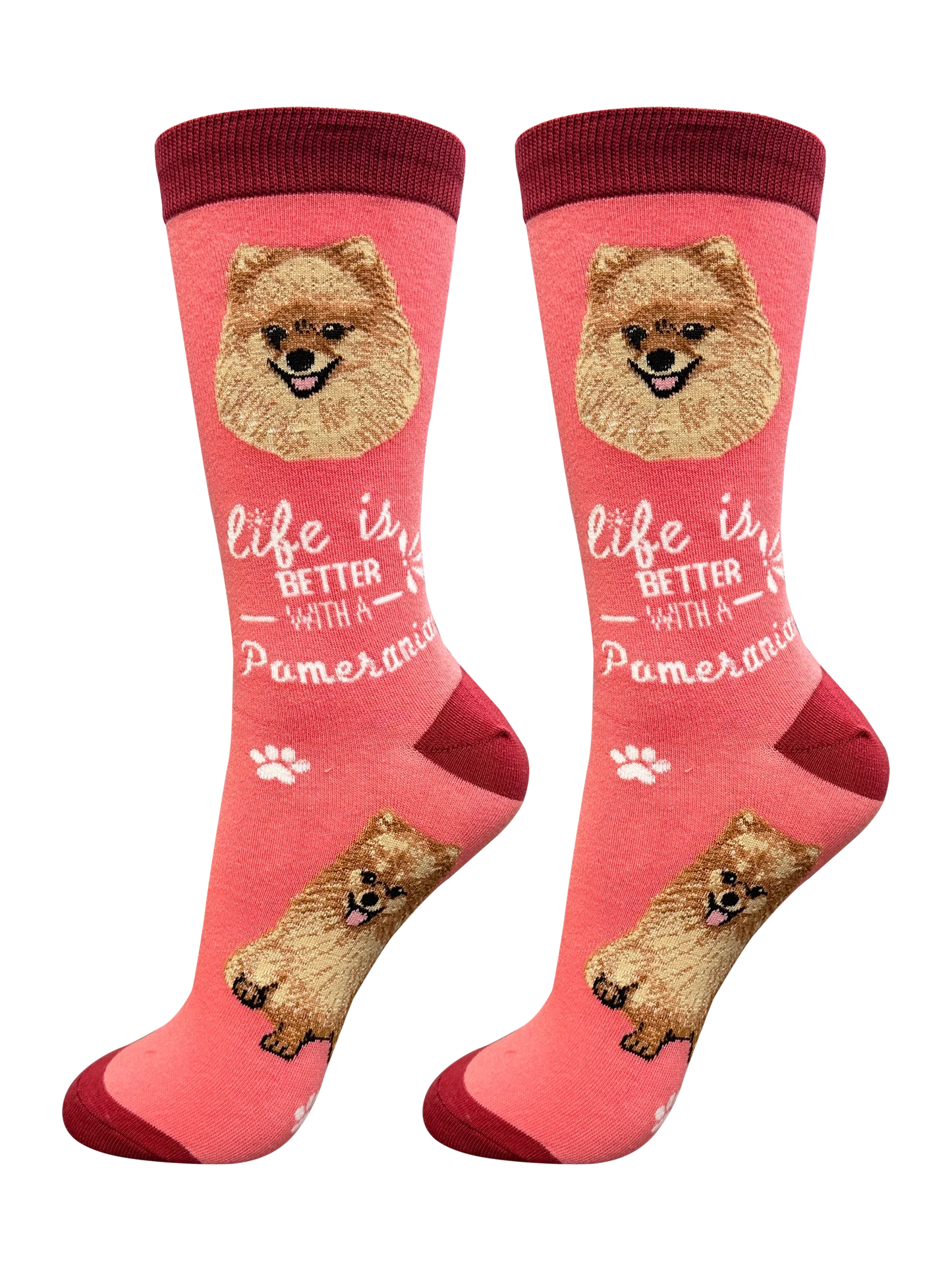 Socks Pomeranian Dog 840-27