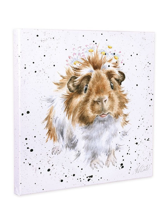 Canvas Art - Guinea Pig 10X10"Cans-cs191