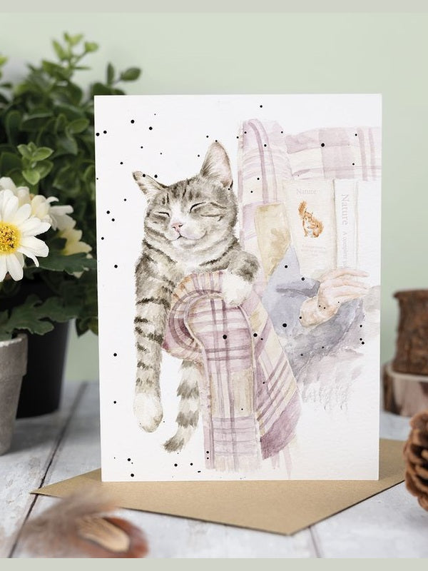 Card Acs219 Lazy Sunday - Cat - Blank Inside