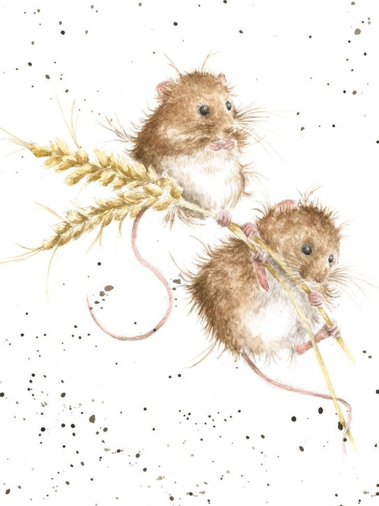 Card - ACS045 - 2 Mice