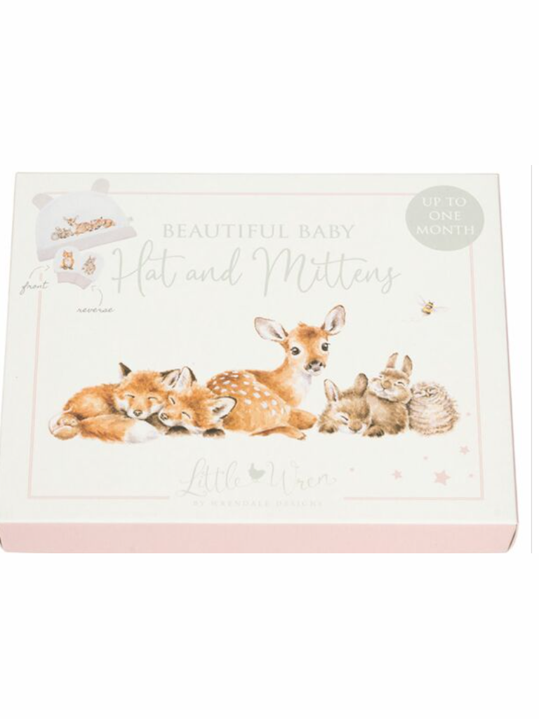 Baby Hat & Mitten Gift Set - Forest Animals - LTW-HM001