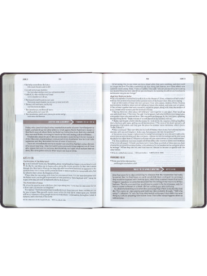 Book Bible Devotional Nlt Men's Faux Leather Walnut Brown DVB001