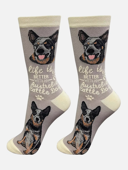 Socks Austrailian Cattle Dog 840-90