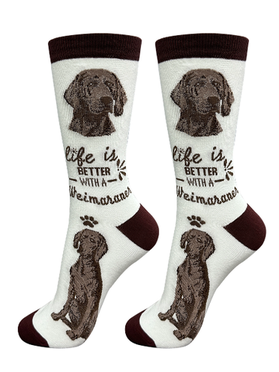 Socks Weimaraner Dog 840-54