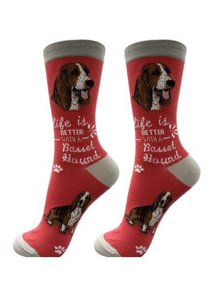Socks Basset Hound Dog 840-2