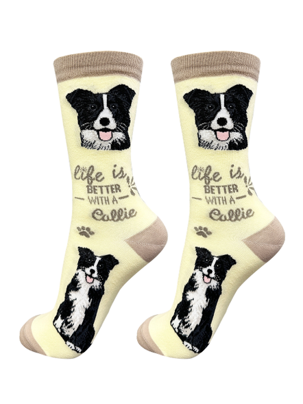 Socks Border Collie Dog 840-5