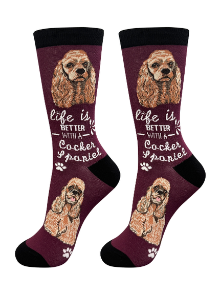 Socks Cocker Spaniel Dog 840-78