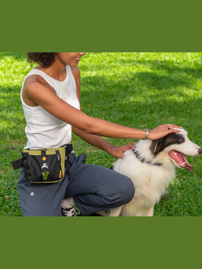 Olly Dog Backcountry Day Bag Palm 14456