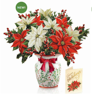 Flower's Boutique Paper Cards Popup Festive Poinsetttias 7313 Classic