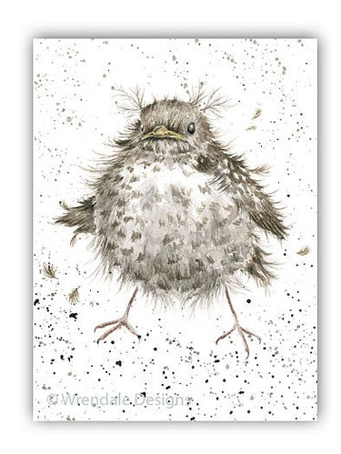 Card-acs025-Flying The Nest