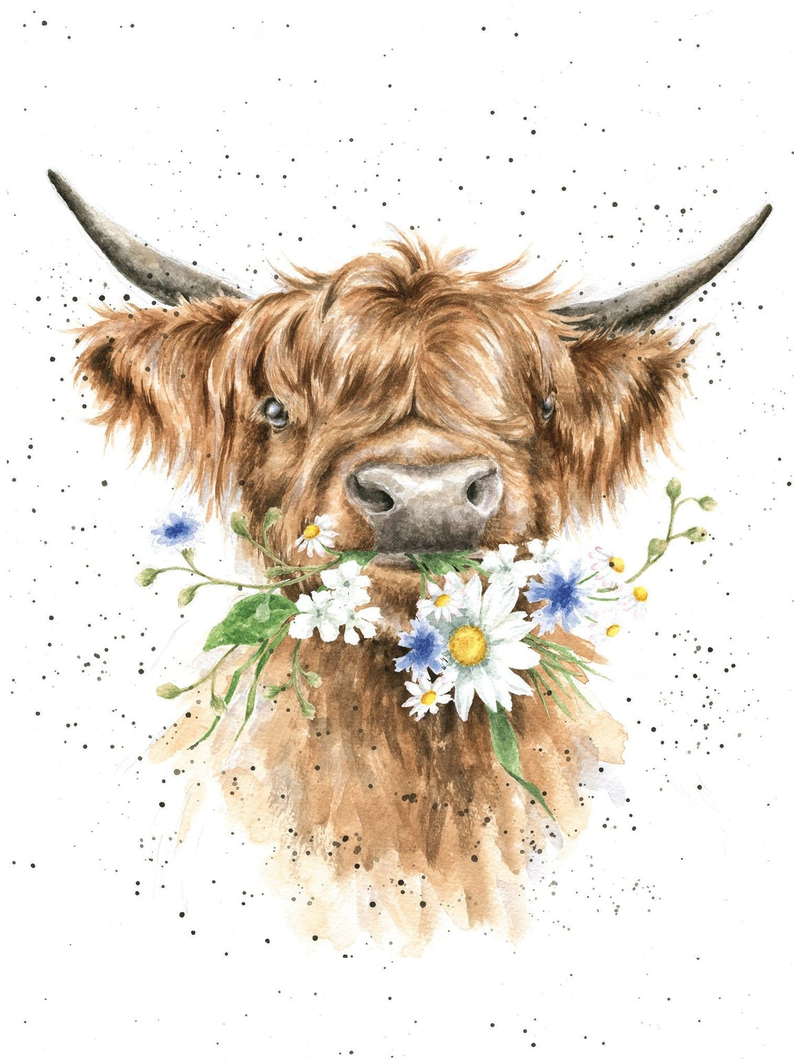 Card - ACS134 - Daisy Cow - Blank Inside