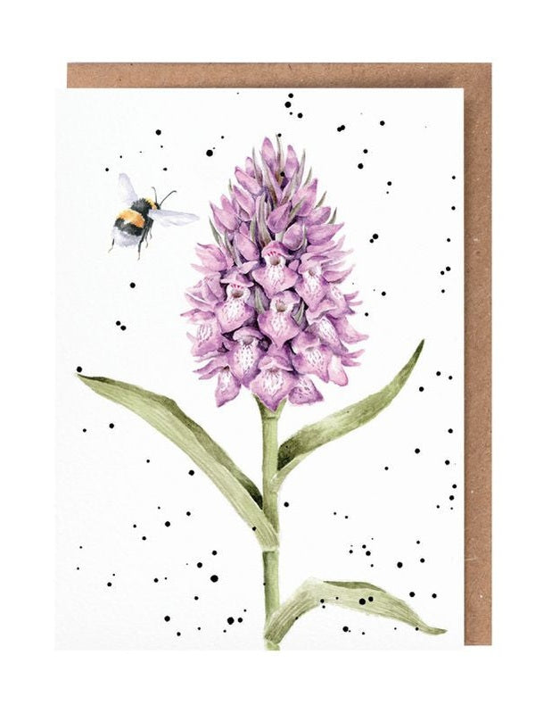 Card Acs 220 Marsh Orchid Blank Inside