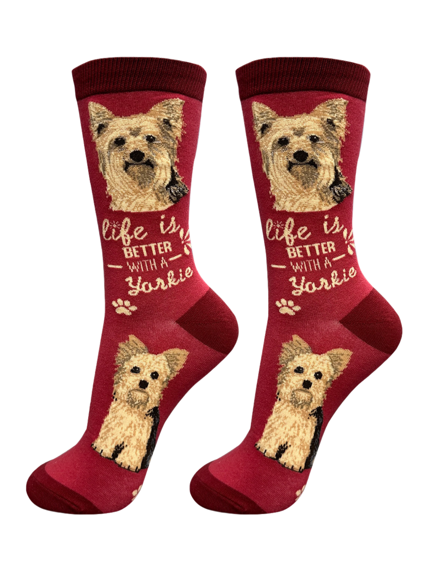 Socks Yorkie Dog 840-46