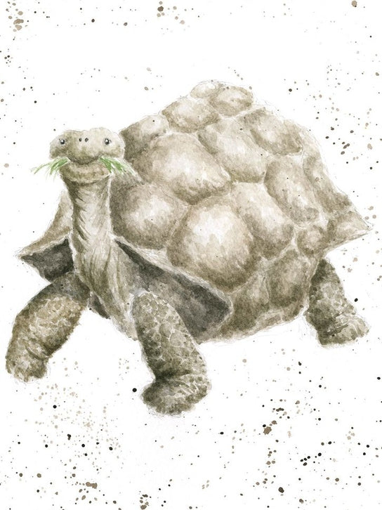 Card - AZ010 - Turtle - blank inside