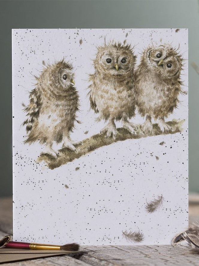 Card - ACS058 YOU FIRST BIRD OWL blank