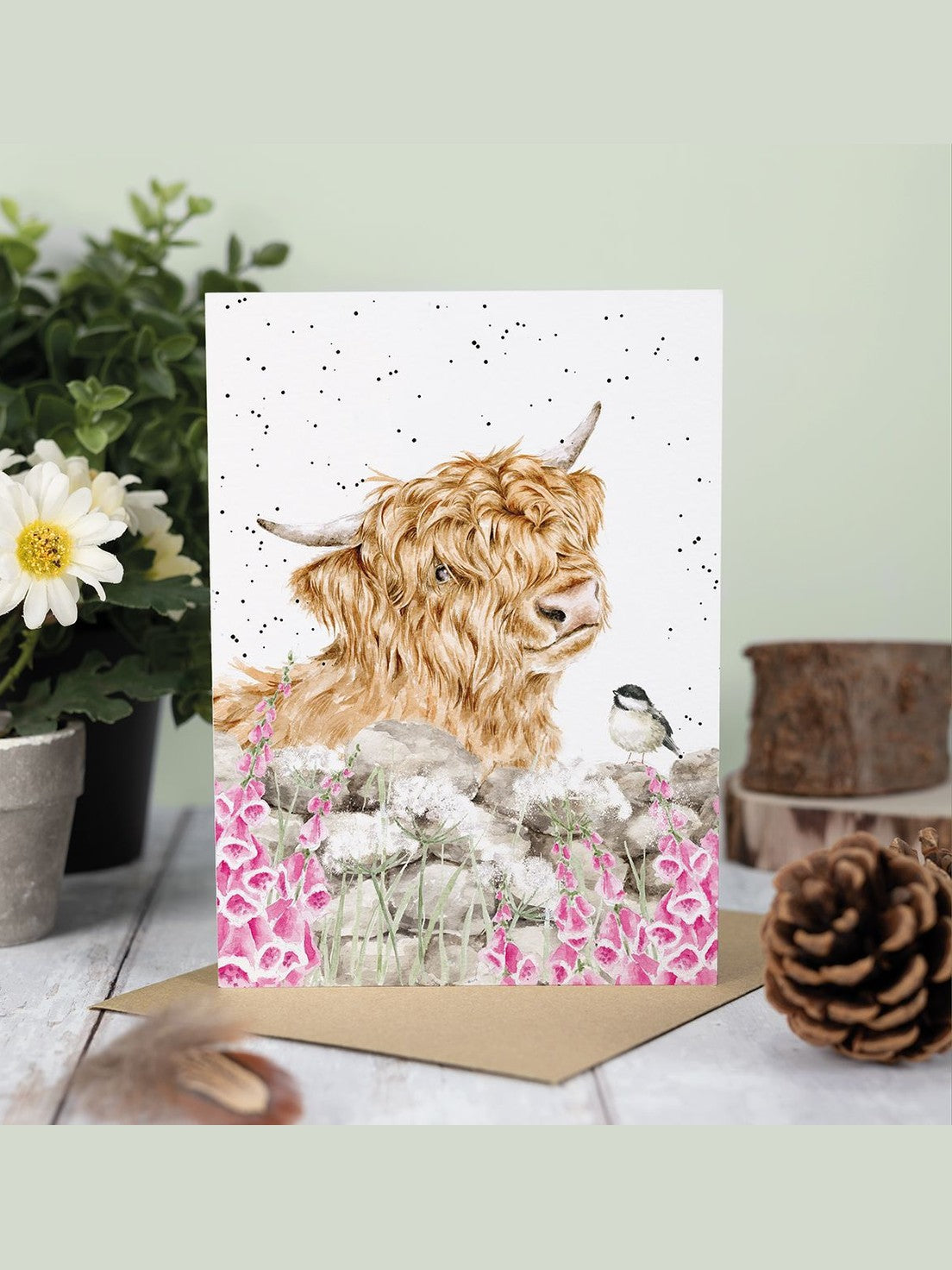Card Acs210 Just For Moo Highland Cow