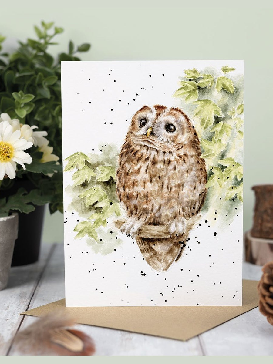 Card Acs212 Treetops Owl