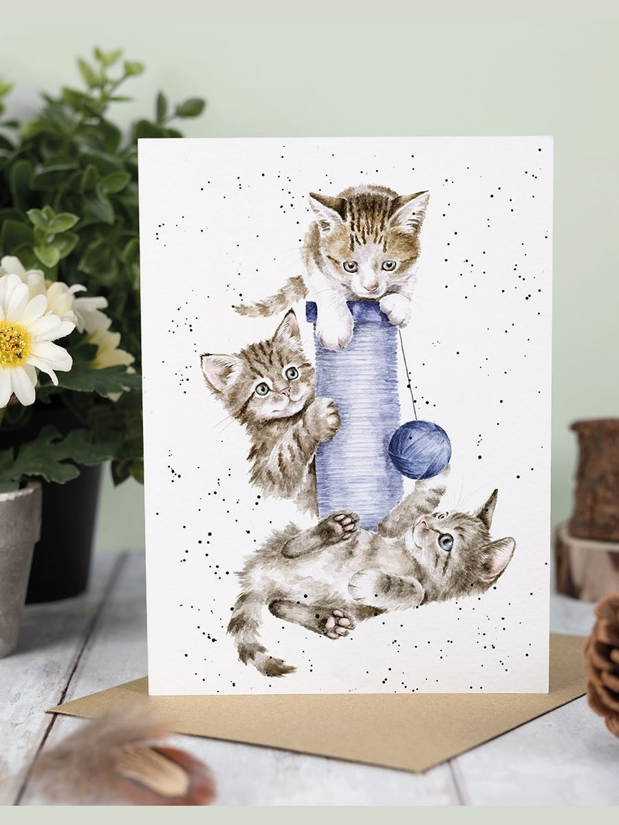 Card Acs214 Three's A Crowd 3 Kitten's