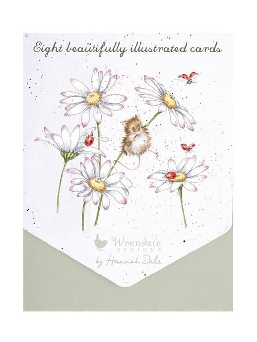 Notecard Set (8 pk) ANCP011 Oops A Daisy