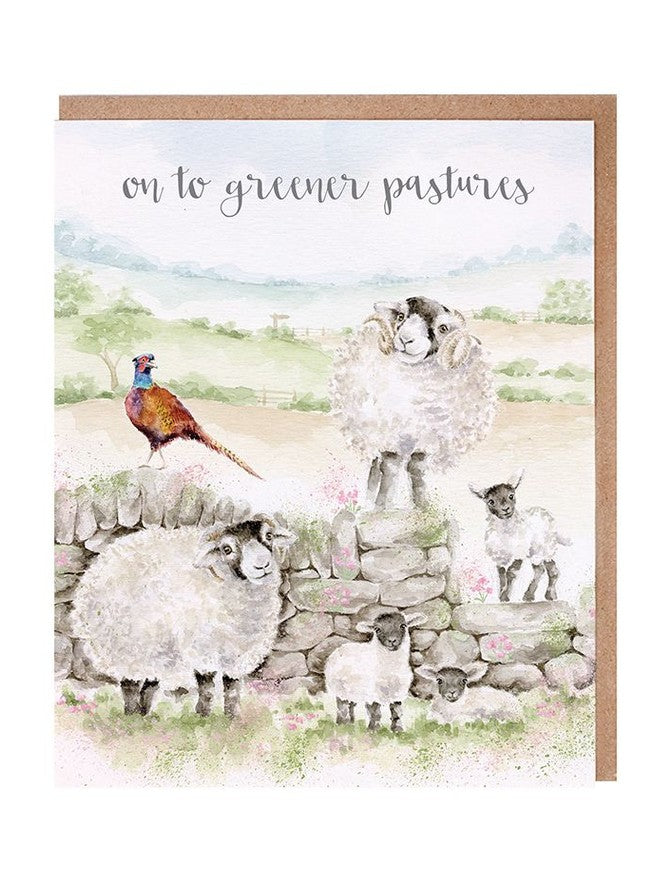Card Aoc202 Greener Pastures Sheep
