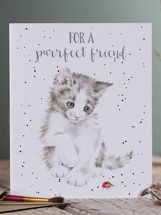 Card Aoc213 Ladybird With Love & Best Wishes Cat/ Lady Bug