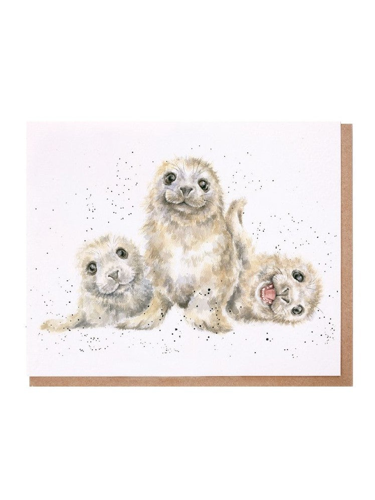 Card Az028 Seal Of Approval Baby Seals