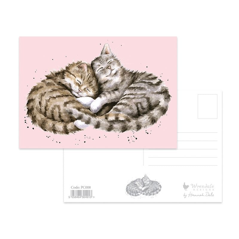 Wrendale-Post Card Sweet Dreams Kittens Pink 4x6" Pc008