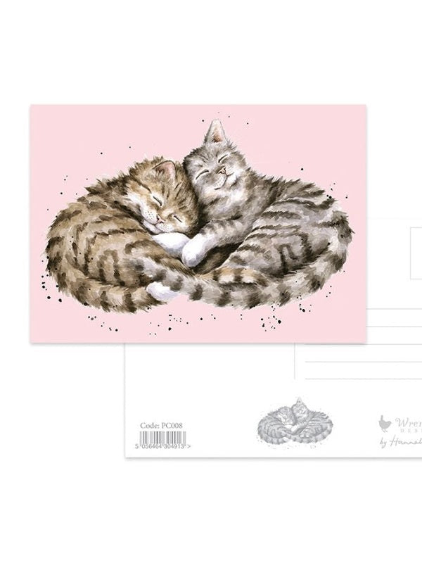 Wrendale-Post Card Sweet Dreams Kittens Pink 4x6" Pc008