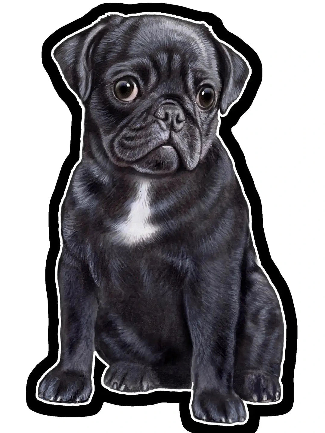 Vinyl Sticker Black Pug Dog 788-32
