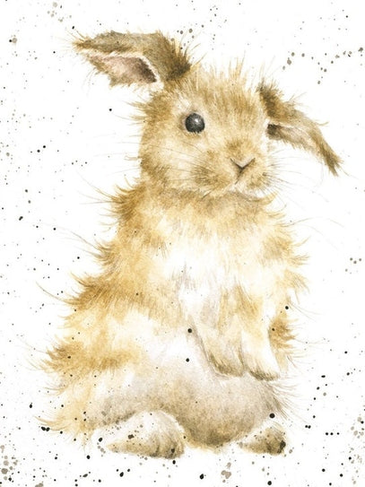 Card - ACS042 - Bunny