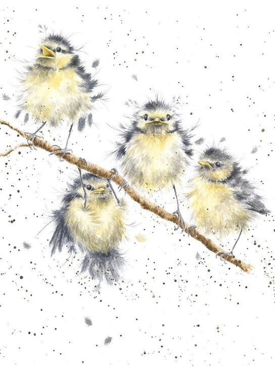 Card - ACS073 - Hanging out Birds