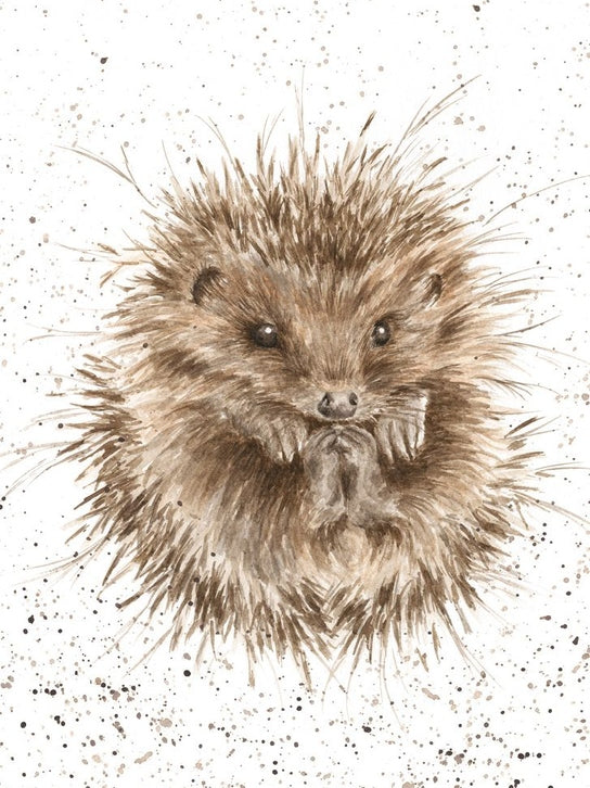 Card - ACS028 - Awakening Hedgehog