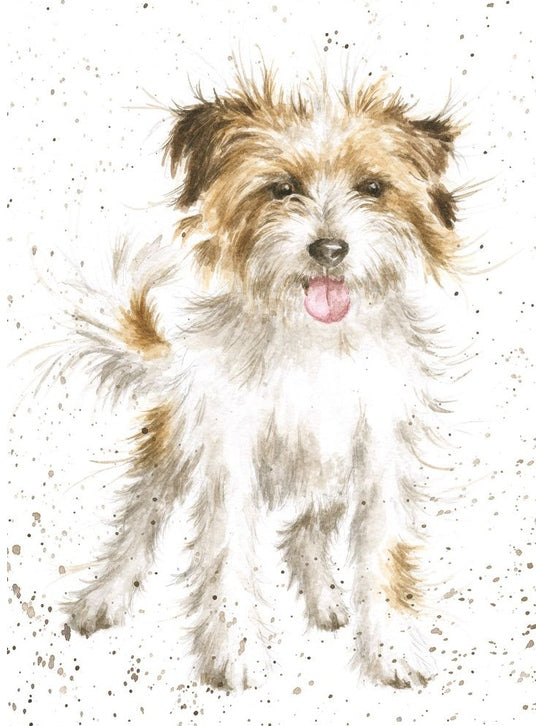 Card - ACS029 - Time to Play Dog