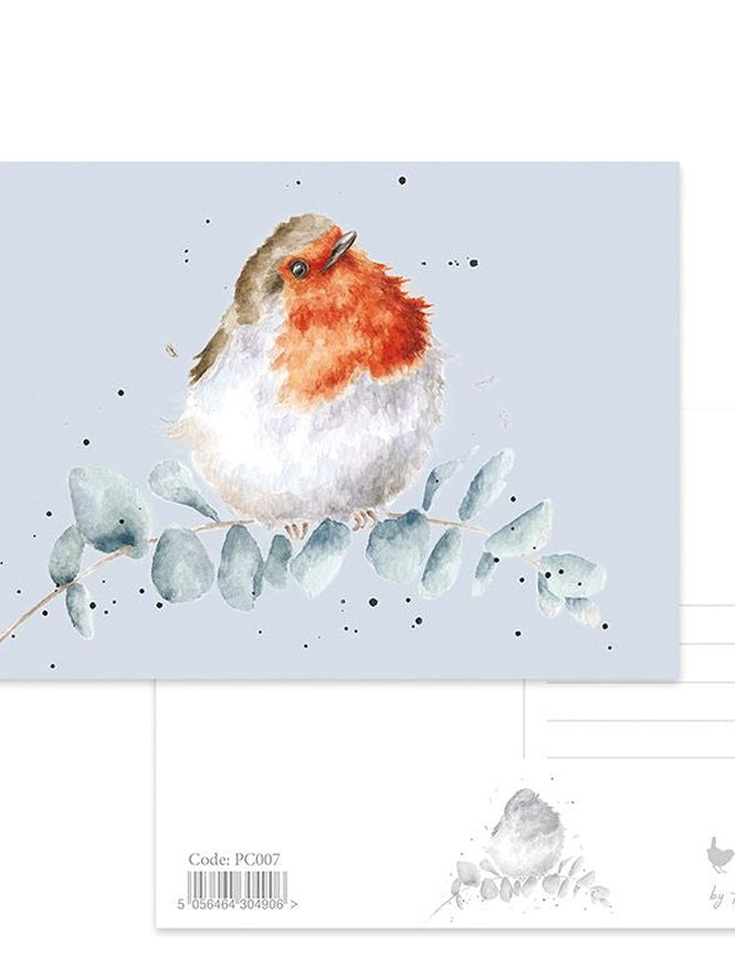 Postcard PC007 Eucalyptus Robin