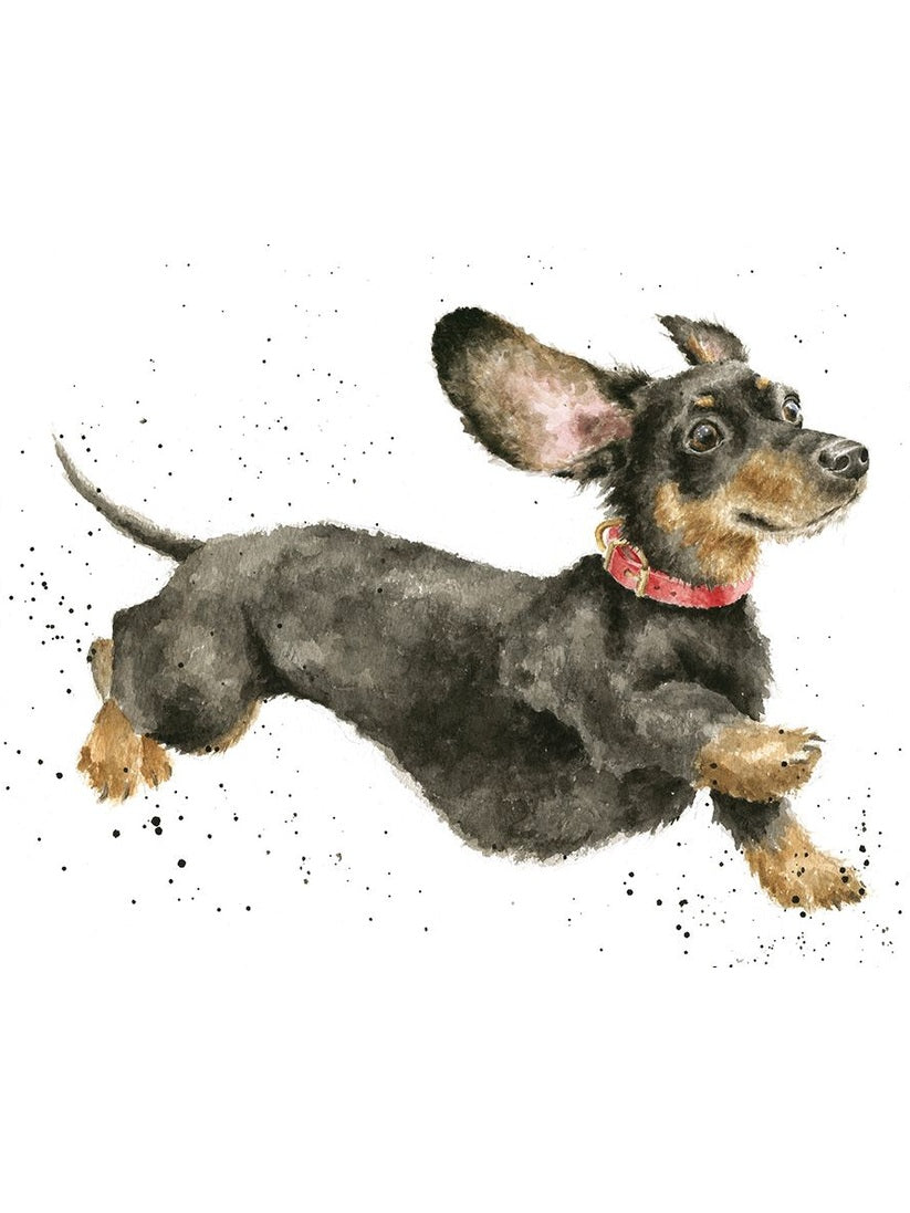 Card - ACS142 -That Friday Feeling Dachshund Dog - Blank Inside