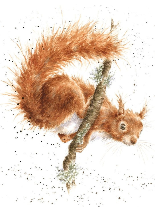 Card - ACS123 - The Acrobat Squirrel - Blank Inside