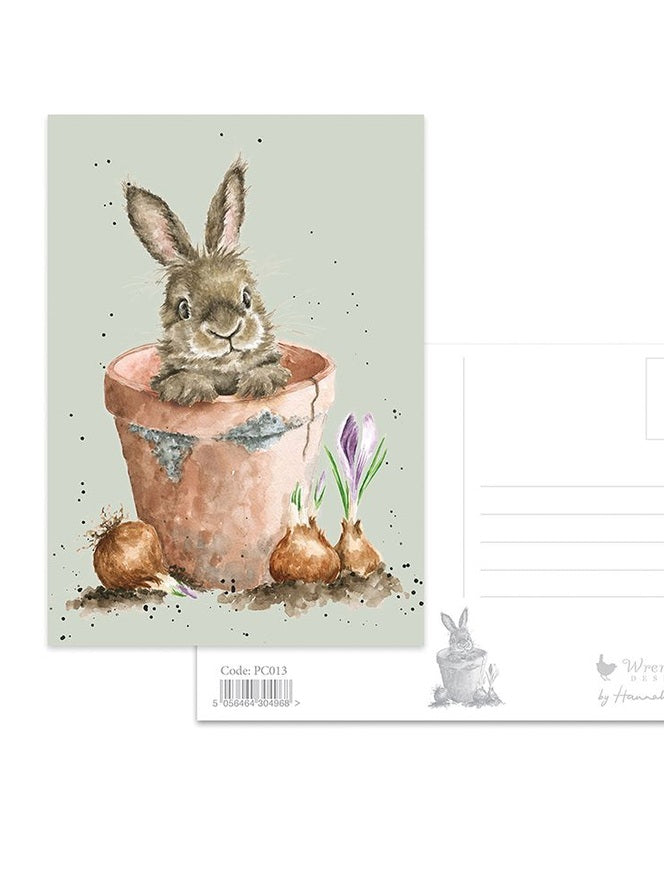 Postcard - PC013- BUNNIE IN POT