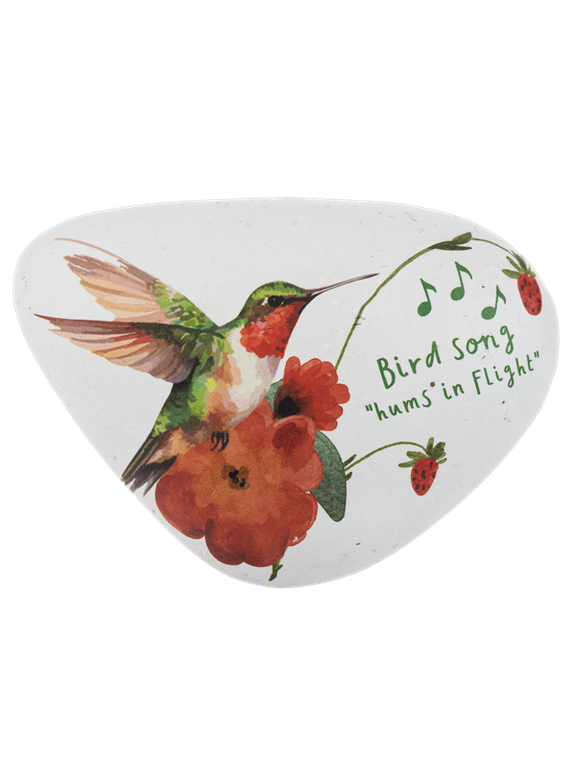 Charm Bird Song Art Rocks 4 Styles mg194976