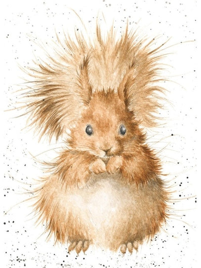 Card - ACS039 REDHEAD SQUIRREL