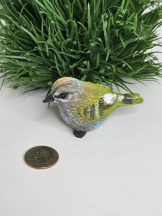 Common Green bird - Small-Transpac-A7817