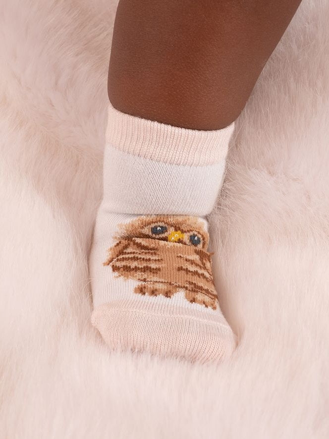 Baby Sock Gift Set - LTW-SOCK001 - Little Forest (0-6 mos)