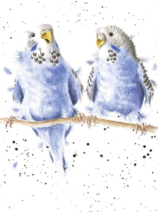 Card - AZ011 - Date Night - Birds Parakeet