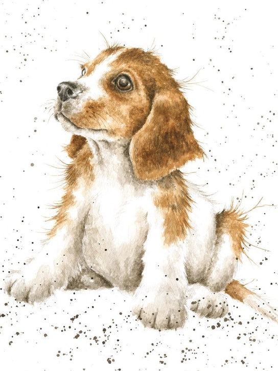 Card - ACS072 - Dog - Blank Inside