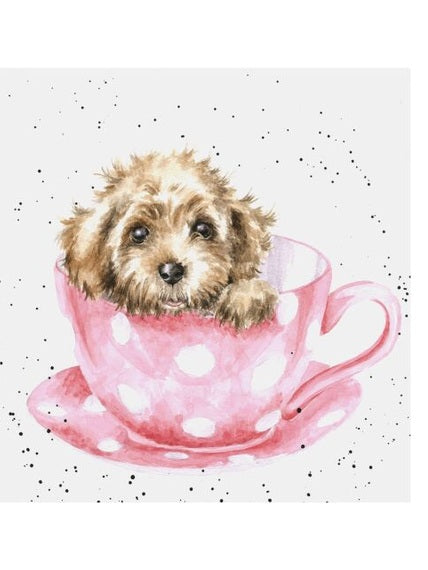 Card - ACS150 Teacup Puppy Dog Blank