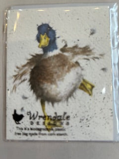 Gift Enclosure Card -GE020 - Duck 