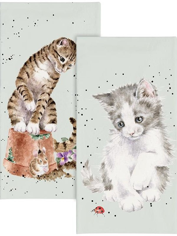 Pocket Tissues Ladybird Cat 10 pk Tis004