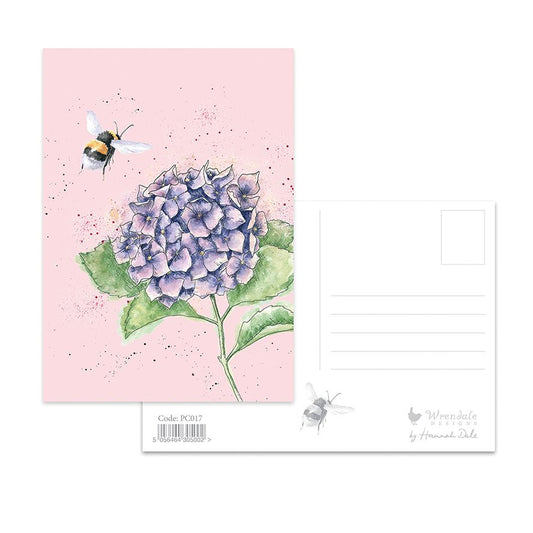 Postcard - PC017-Hydrangea Bee 