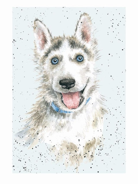 Card - ADR035 - Husky - Dog
