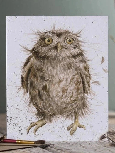 Card ACS009 Owl Hoot Blank Inside